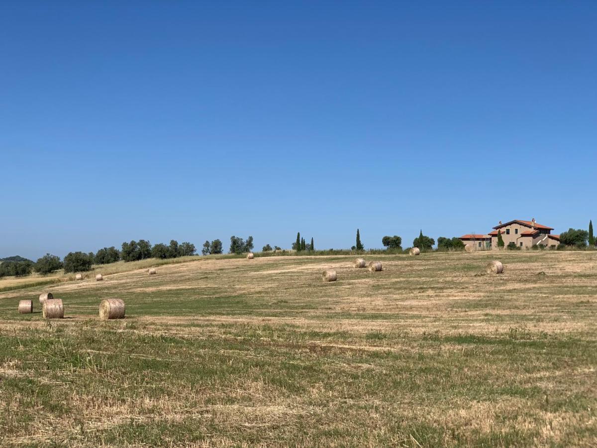 Il Poggio Di Musignano Musignano (Lazio) Exterior foto